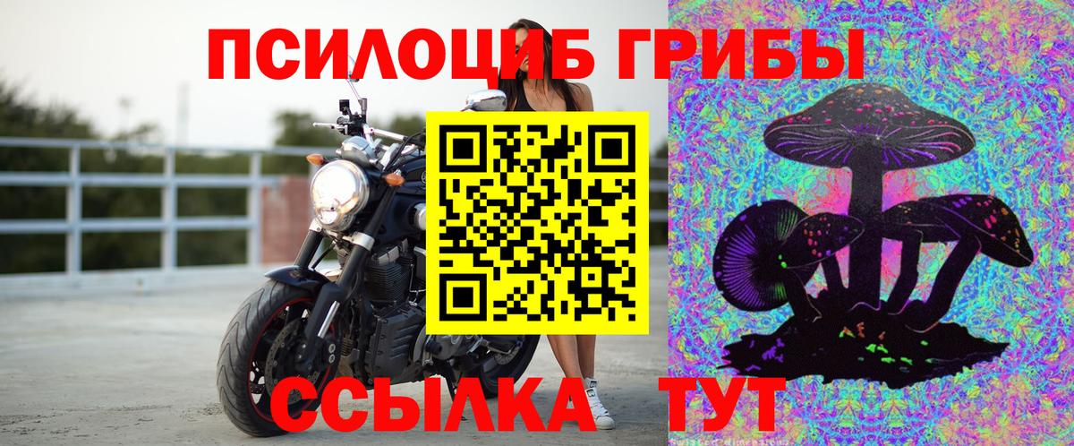 Йошкар-Ола  Псилоцибиновые грибы Psilocybe  Галлюциногенные грибы GOLDEN TEACHER  Вход с VPN 